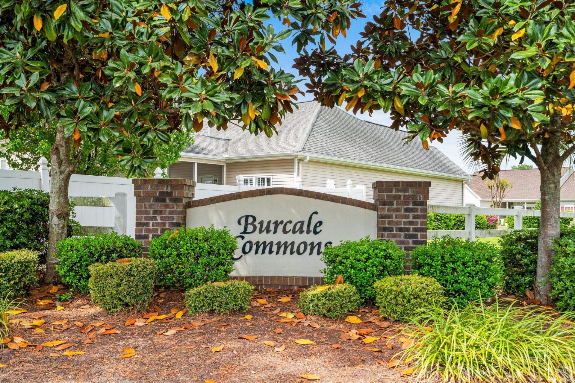 100 Rocko Dr.  Photo 59