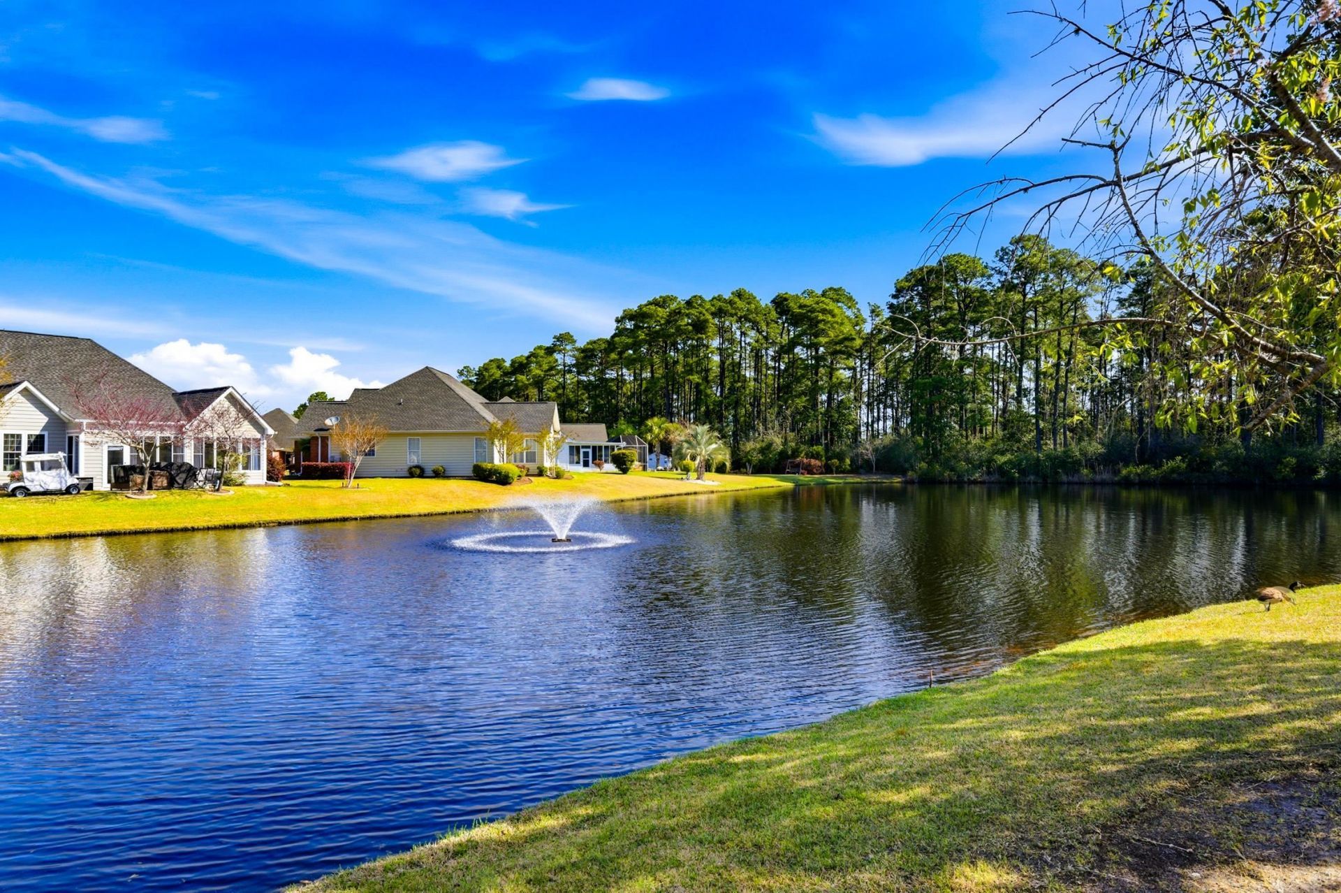 8101 Moonstruck Ct. Photo 41