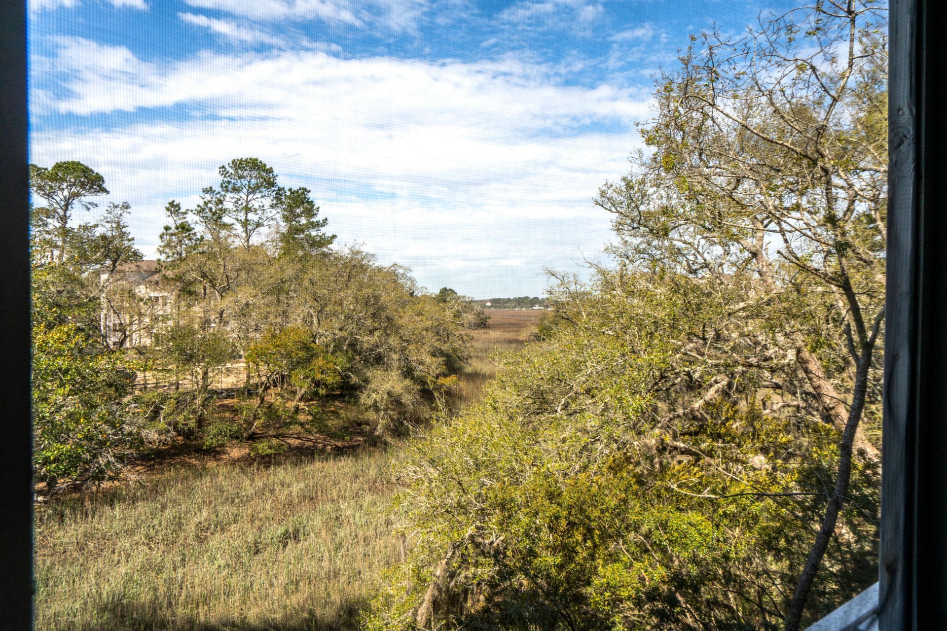 2412 Racquet Club Drive Photo 9