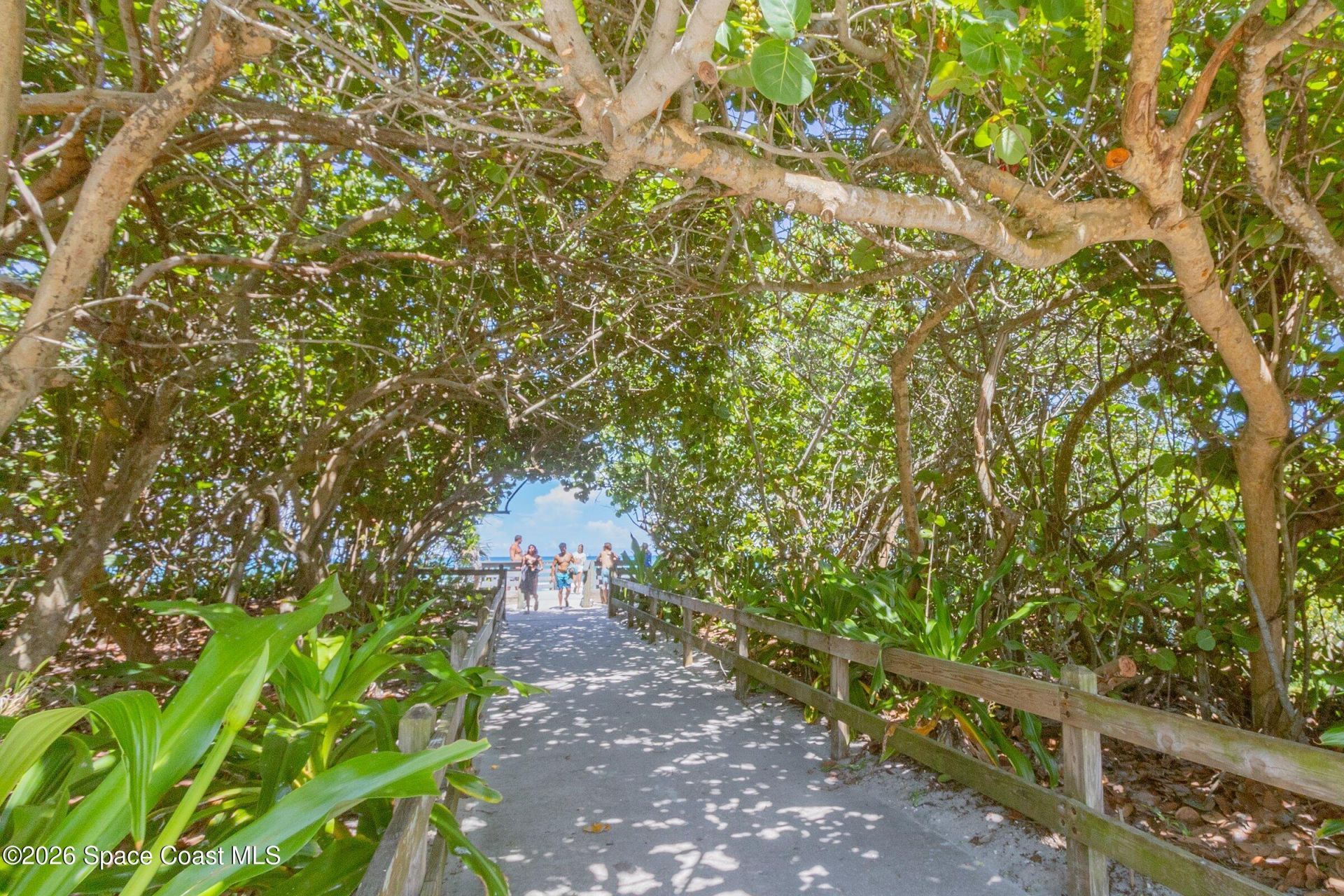 205 Melaleuca Drive , Satellite Beach, FL 32937 Photo