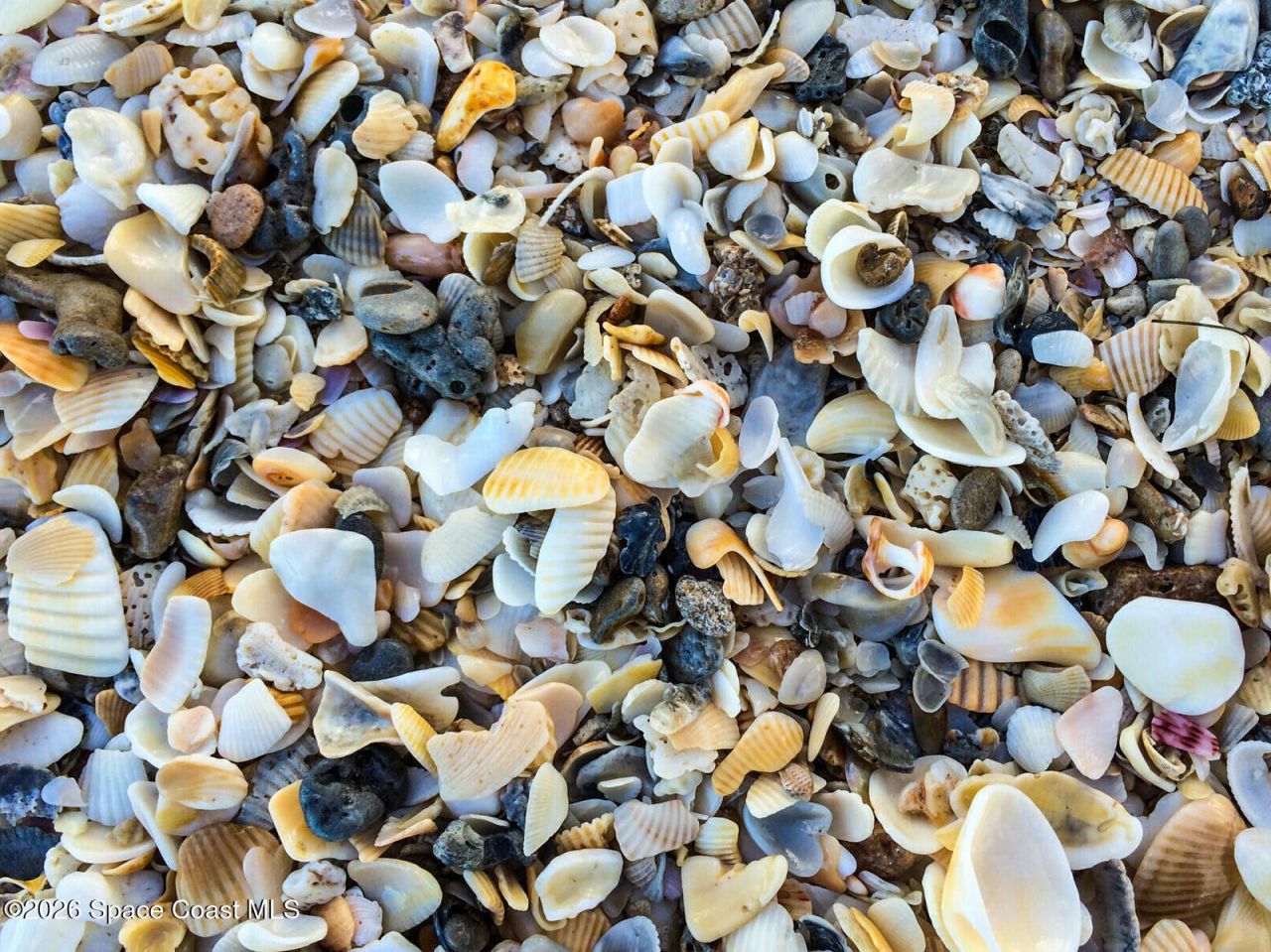 205 Melaleuca Drive , Satellite Beach, FL 32937 Photo