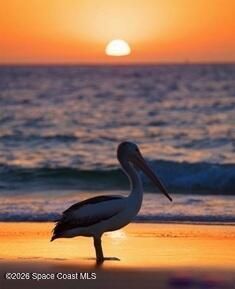 205 Melaleuca Drive , Satellite Beach, FL 32937 Photo