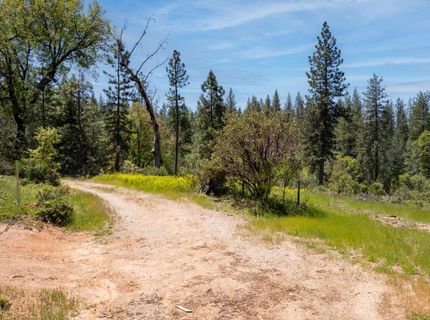 5199 Lone Star Rd, Wilseyville, CA 95257 Photo