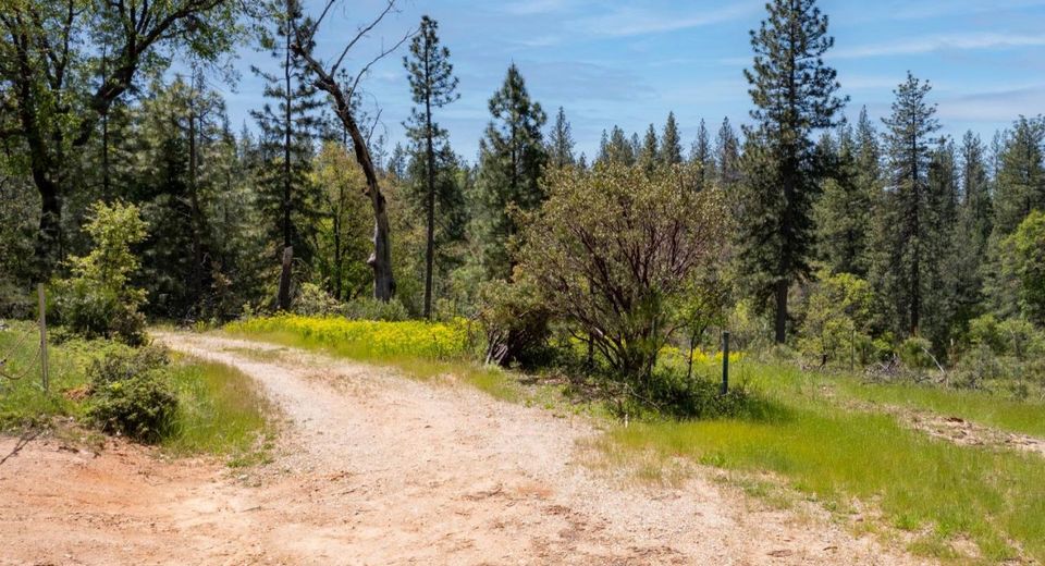 5199 Lone Star Rd, Wilseyville, CA 95257 Photo