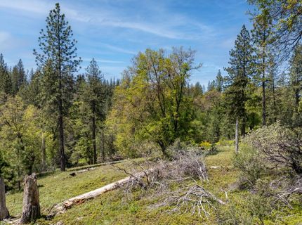 5199 Lone Star Rd, Wilseyville, CA 95257 Photo