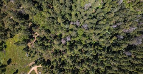 5199 Lone Star Rd, Wilseyville, CA 95257 Photo