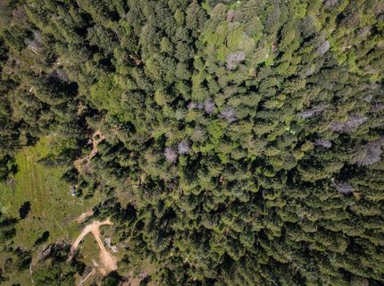 5199 Lone Star Rd, Wilseyville, CA 95257 Photo