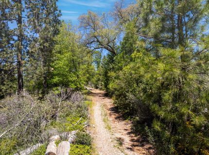 5199 Lone Star Rd, Wilseyville, CA 95257 Photo