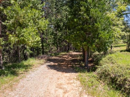 5199 Lone Star Rd, Wilseyville, CA 95257 Photo