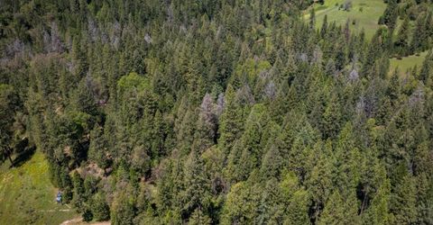 5199 Lone Star Rd, Wilseyville, CA 95257 Photo