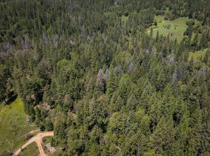5199 Lone Star Rd, Wilseyville, CA 95257 Photo