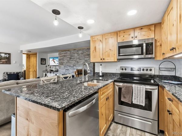 423 Wild Irishman Road , Unit 13202, Dillon, CO 80435