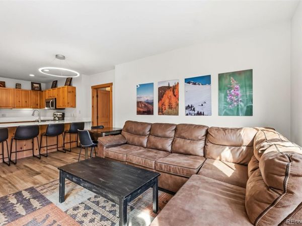 135 Dercum Drive , Unit 8607, Dillon, CO 80435