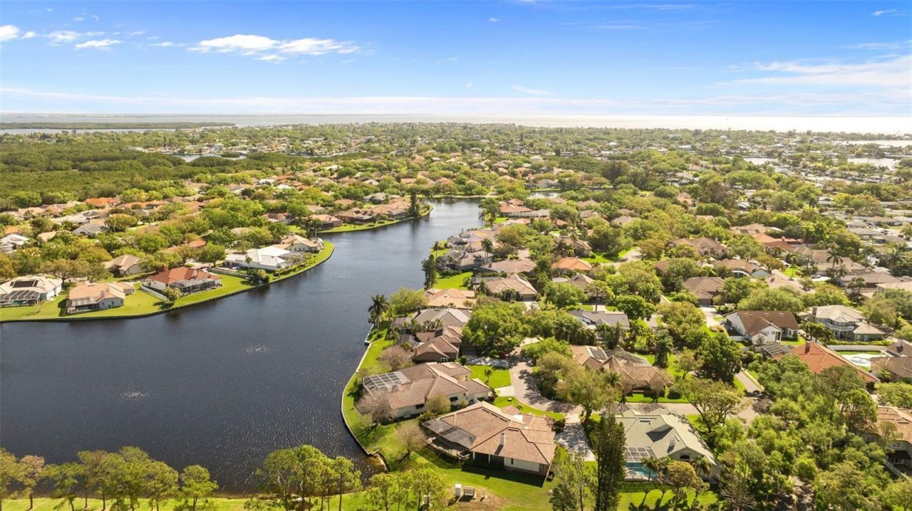 4731 Coconut Palm Circle Ne, Saint Petersburg, FL 33703 Photo