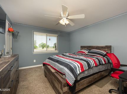 540 Upper Colony Road, Wellington, NV 89444 Photo