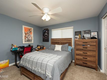 540 Upper Colony Road, Wellington, NV 89444 Photo