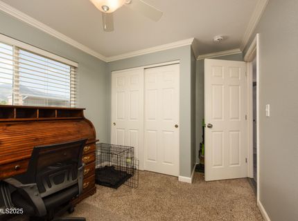 540 Upper Colony Road, Wellington, NV 89444 Photo