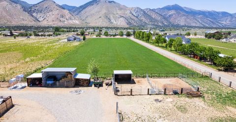 540 Upper Colony Road, Wellington, NV 89444 Photo