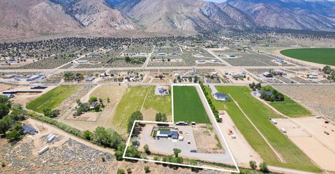 540 Upper Colony Road, Wellington, NV 89444 Photo