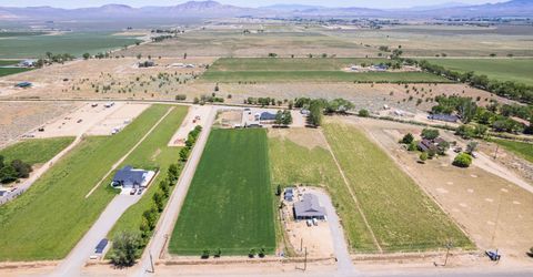 540 Upper Colony Road, Wellington, NV 89444 Photo