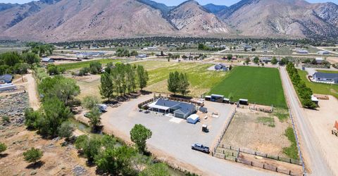 540 Upper Colony Road, Wellington, NV 89444 Photo