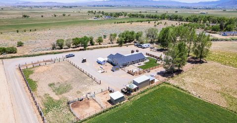 540 Upper Colony Road, Wellington, NV 89444 Photo