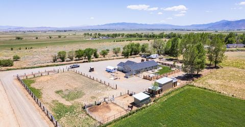 540 Upper Colony Road, Wellington, NV 89444 Photo