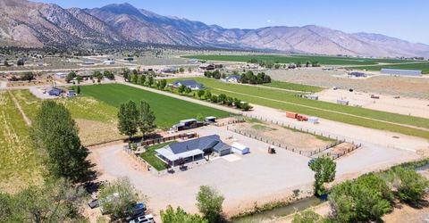 540 Upper Colony Road, Wellington, NV 89444 Photo