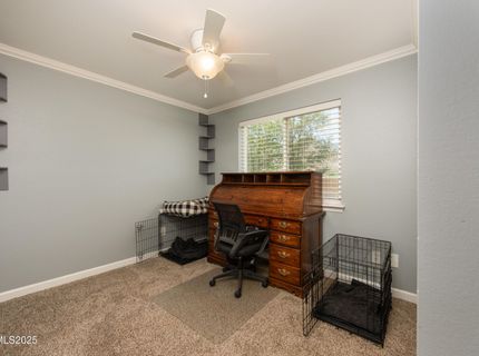 540 Upper Colony Road, Wellington, NV 89444 Photo