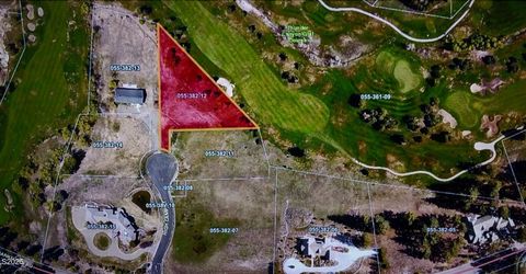 8 High Camp Court, Washoe Valley, NV 89704 Photo