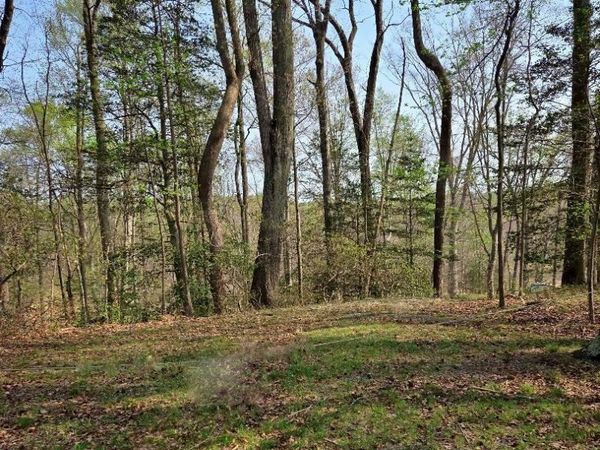 lot 124 Treasone Street, MONTROSS, VA 22520