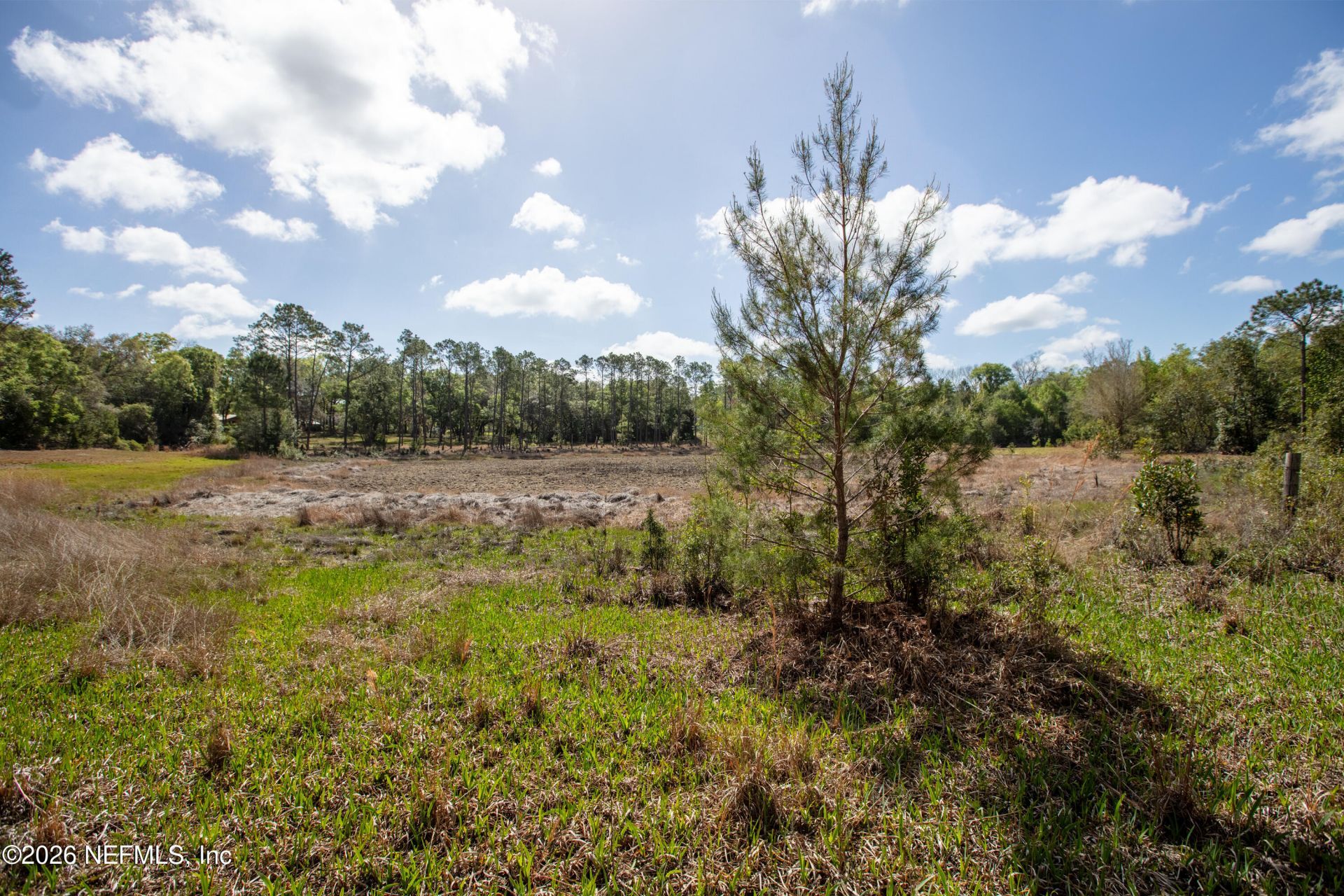 1320 County Rd 315, Melrose, FL 32666 Photo