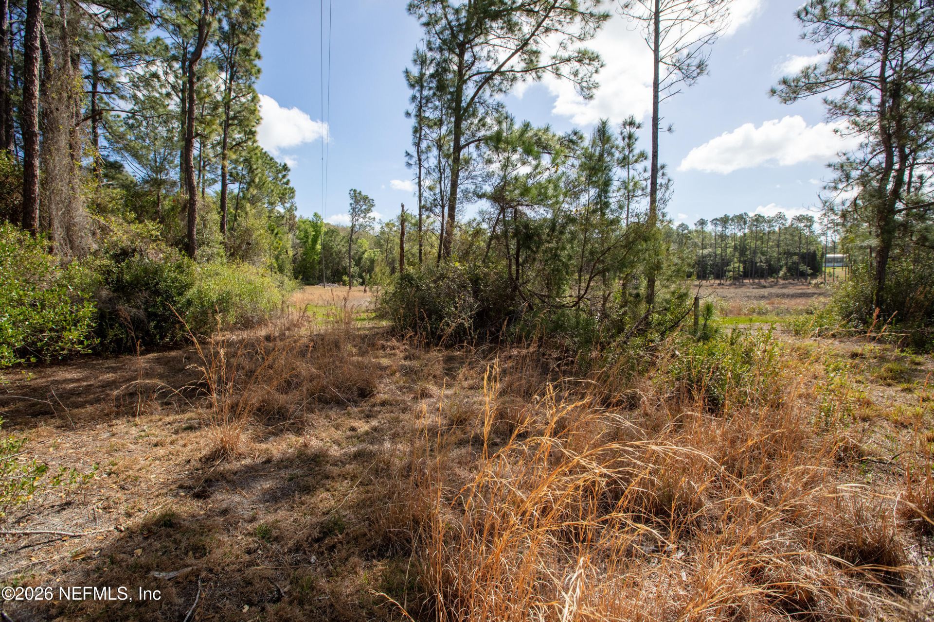 1320 County Rd 315, Melrose, FL 32666 Photo