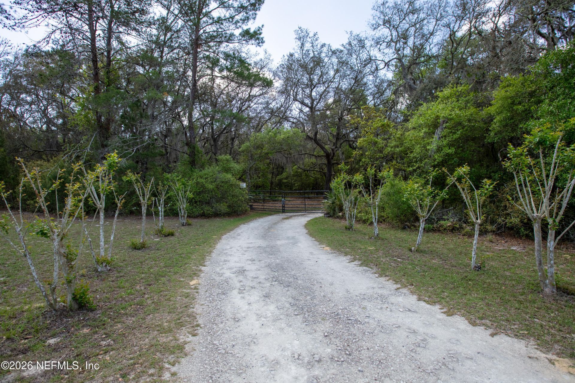 1320 County Rd 315, Melrose, FL 32666 Photo