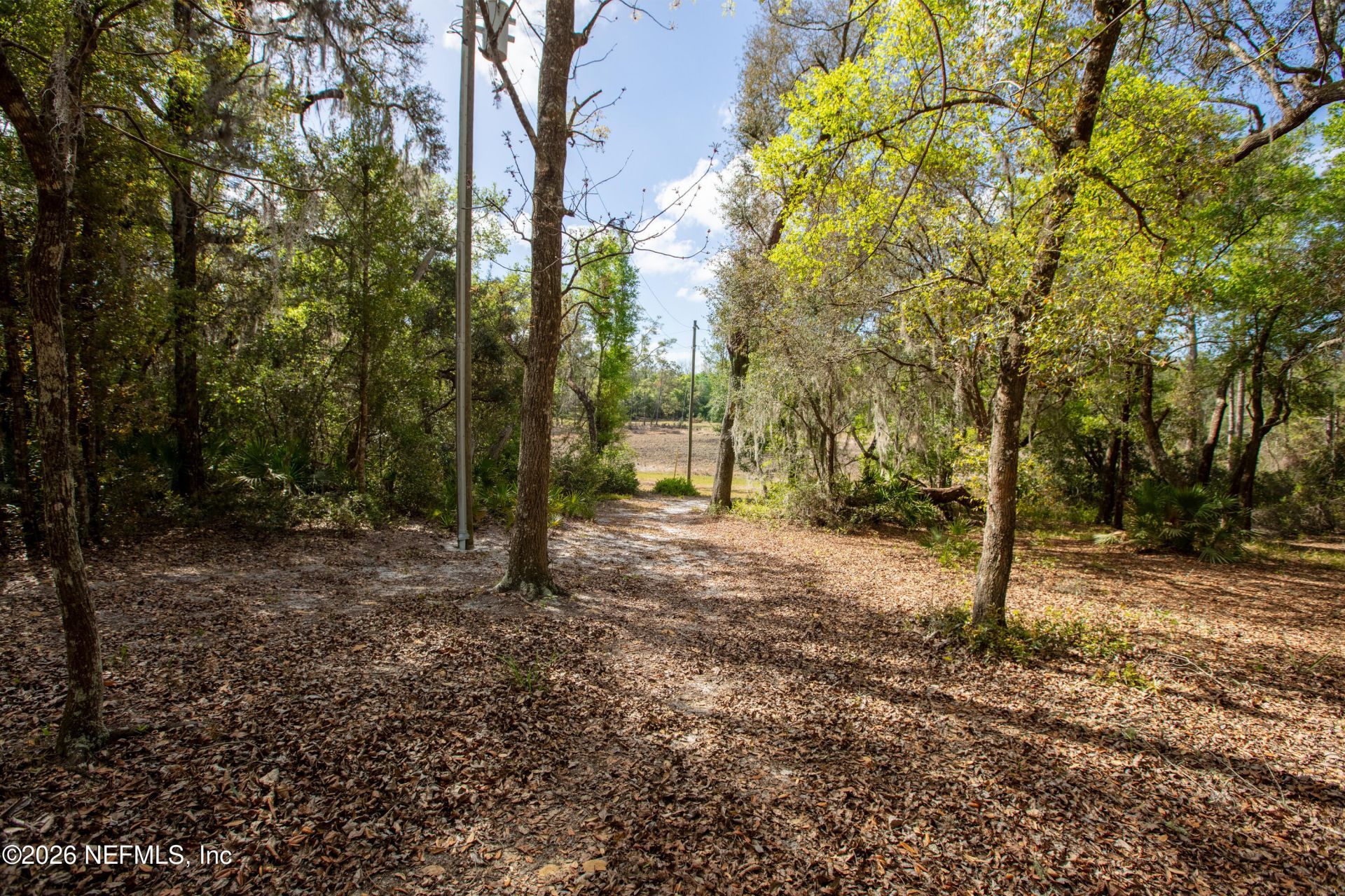 1320 County Rd 315, Melrose, FL 32666 Photo