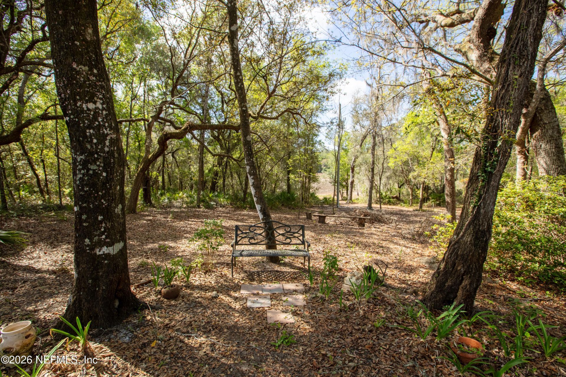 1320 County Rd 315, Melrose, FL 32666 Photo