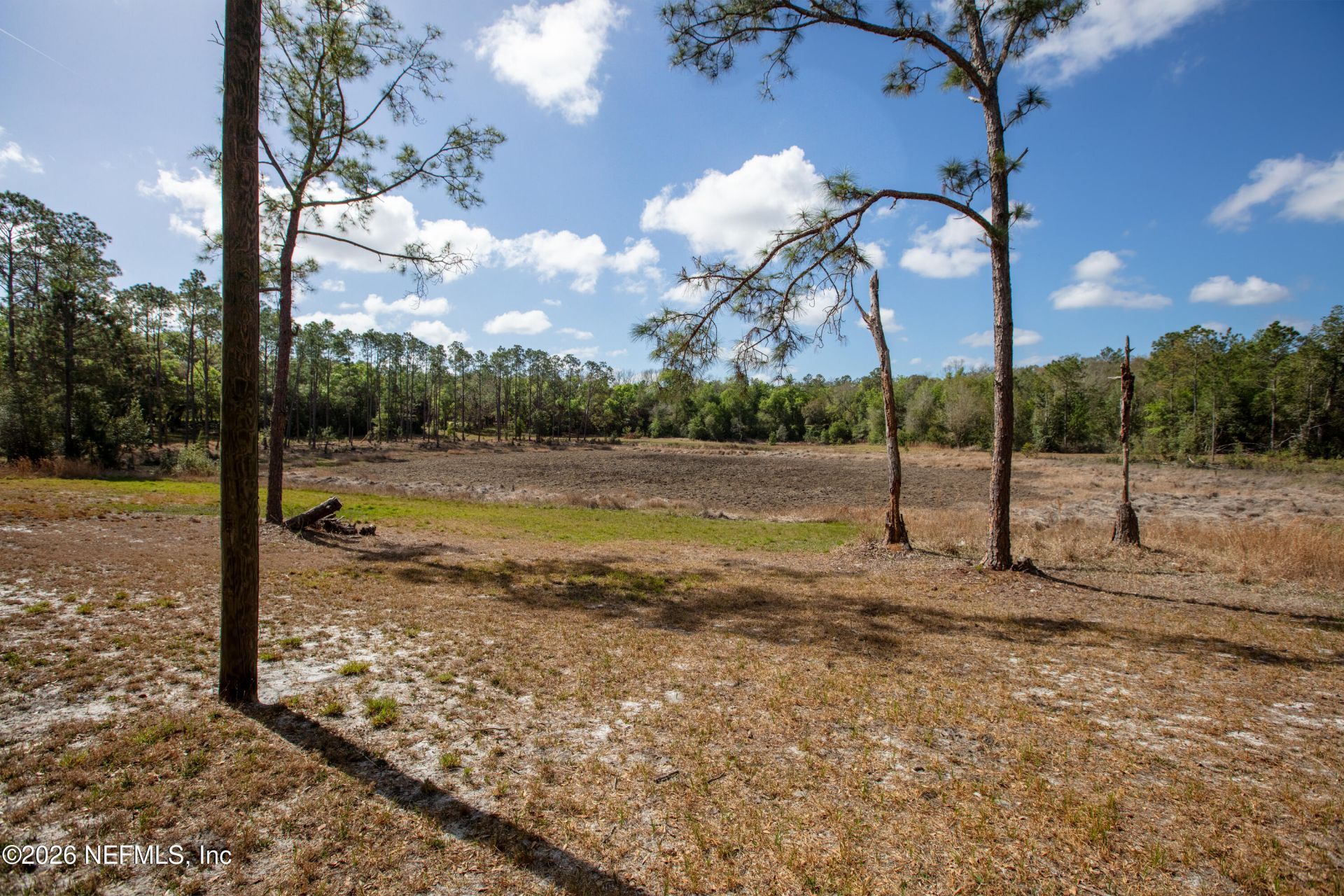 1320 County Rd 315, Melrose, FL 32666 Photo