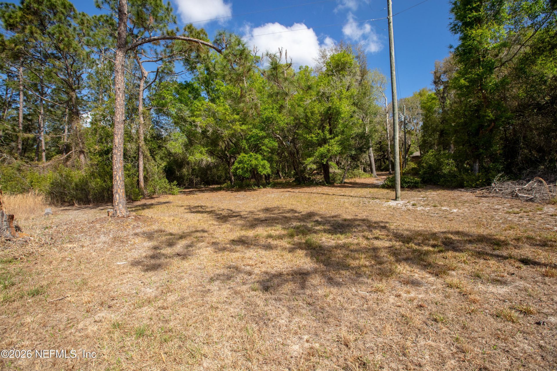 1320 County Rd 315, Melrose, FL 32666 Photo