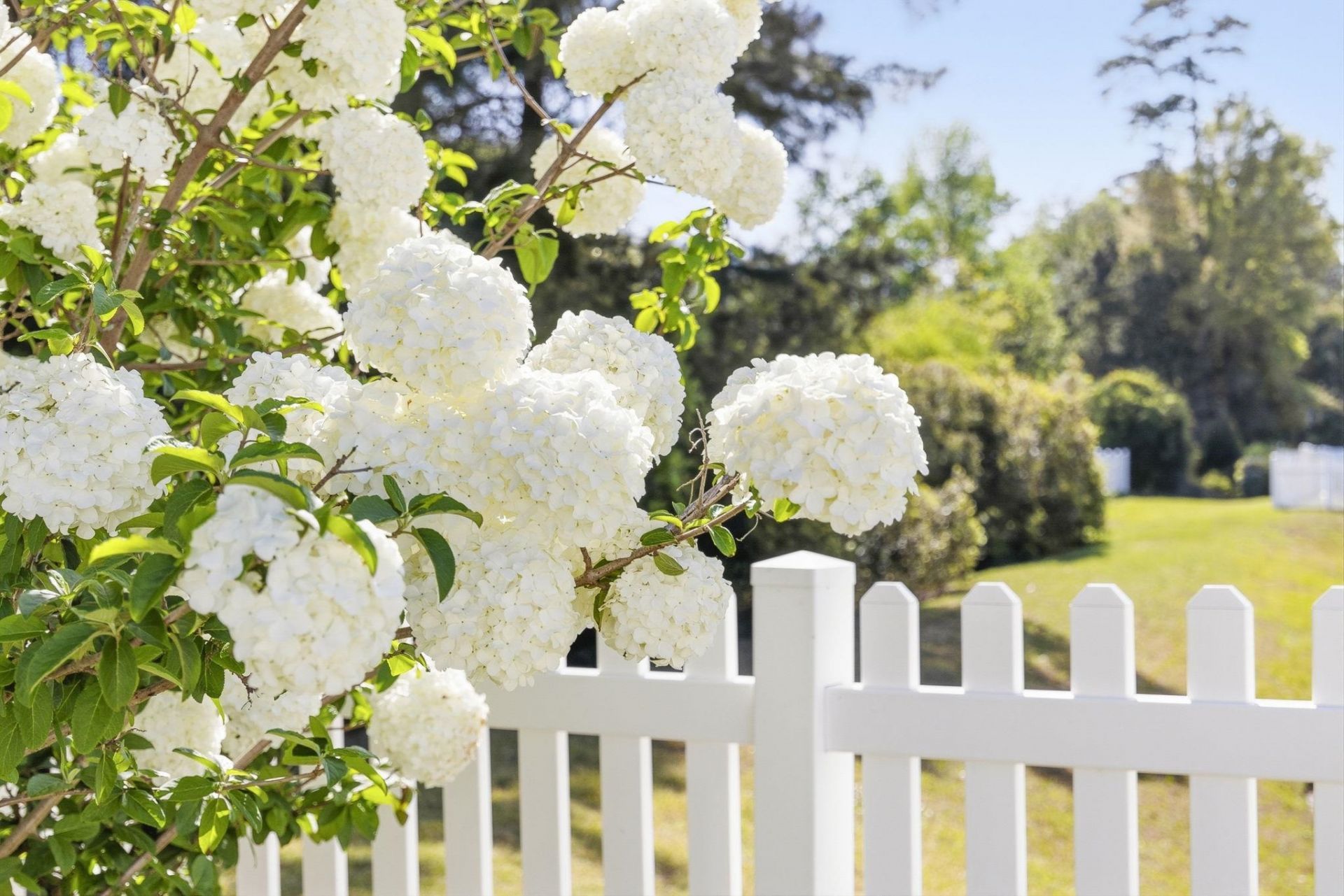 1320 Cascarilla Ct. Photo 43