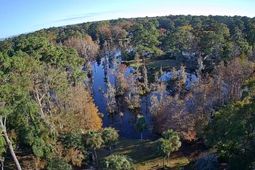 36 Heron Cove photo 4