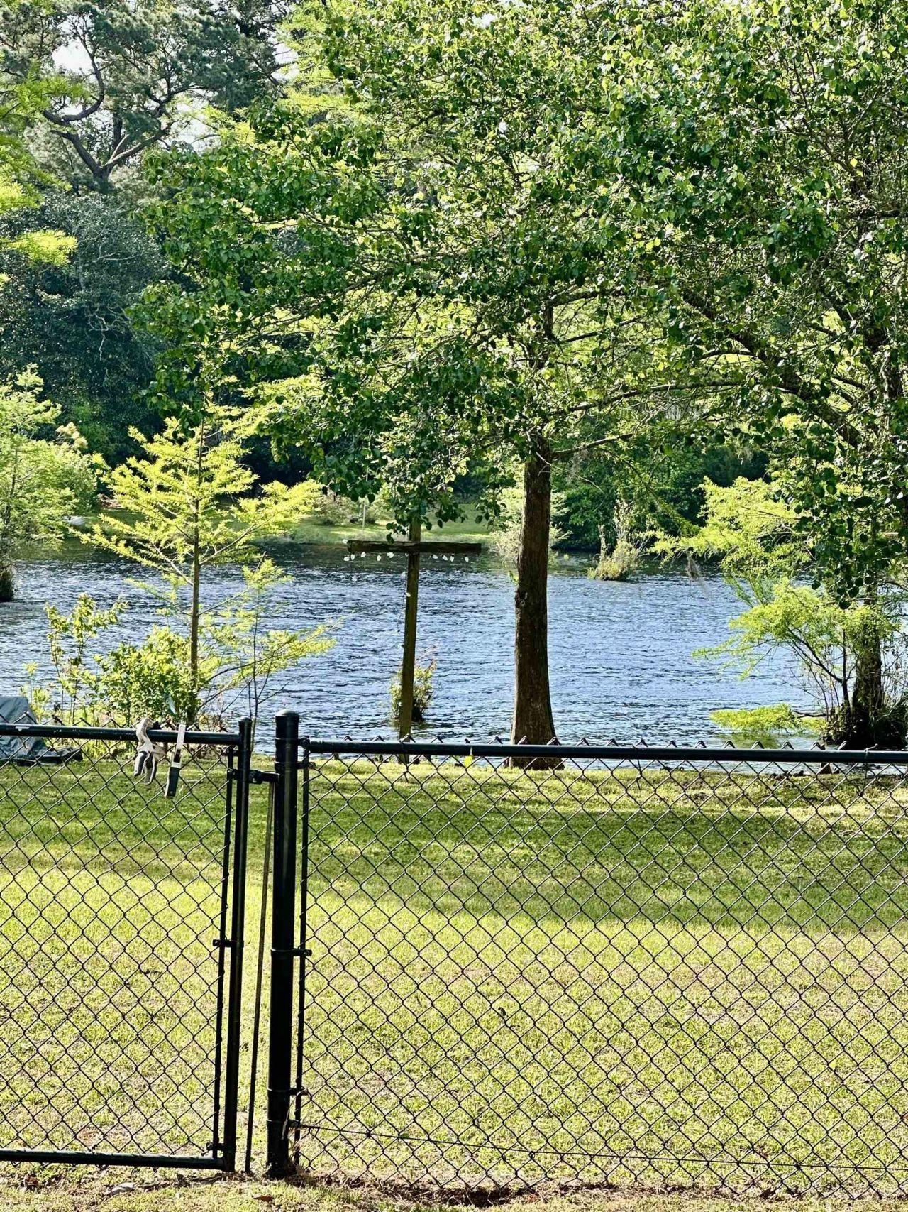 36 Heron Cove Photo 7