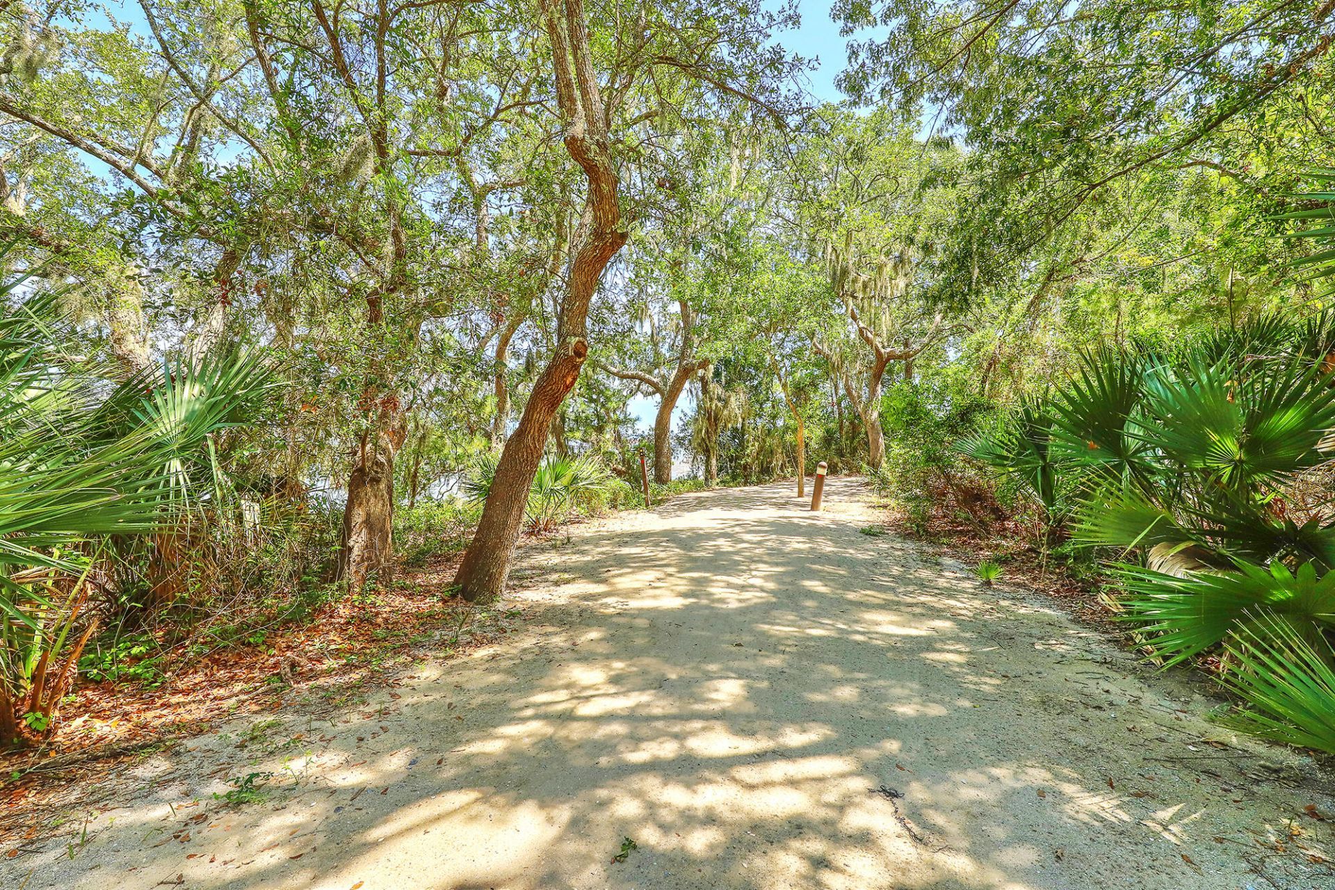 130 River Landing Drive Photo 38