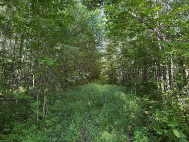 40a Bridgie Road, Northome, MN 56661