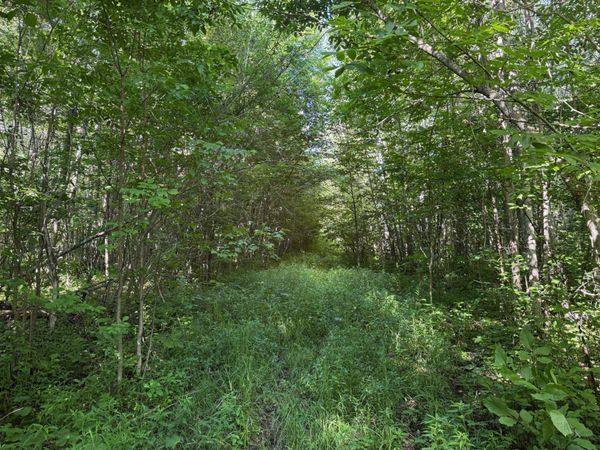 40a Bridgie Road, Northome, MN 56661