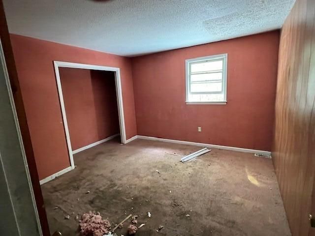 586 Dragstrip Road Photo 4