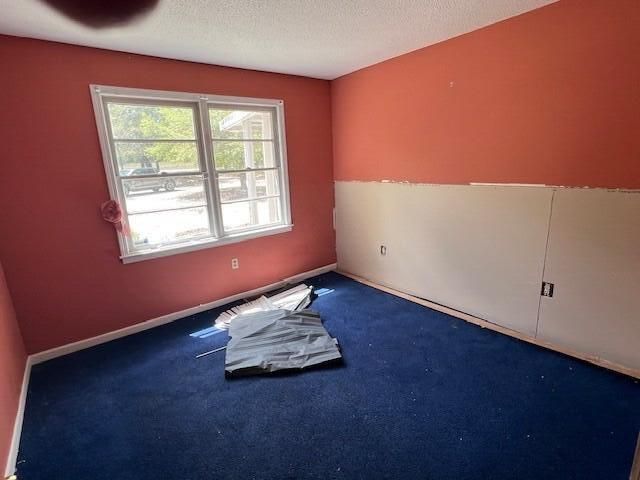 586 Dragstrip Road Photo 6