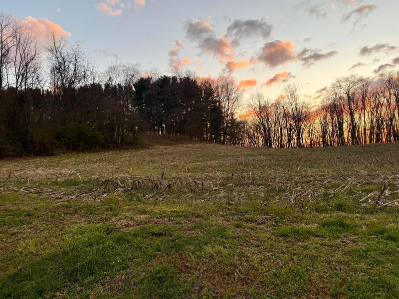 17597 Spillway Road , Fredericktown, OH 43019 Photo 17