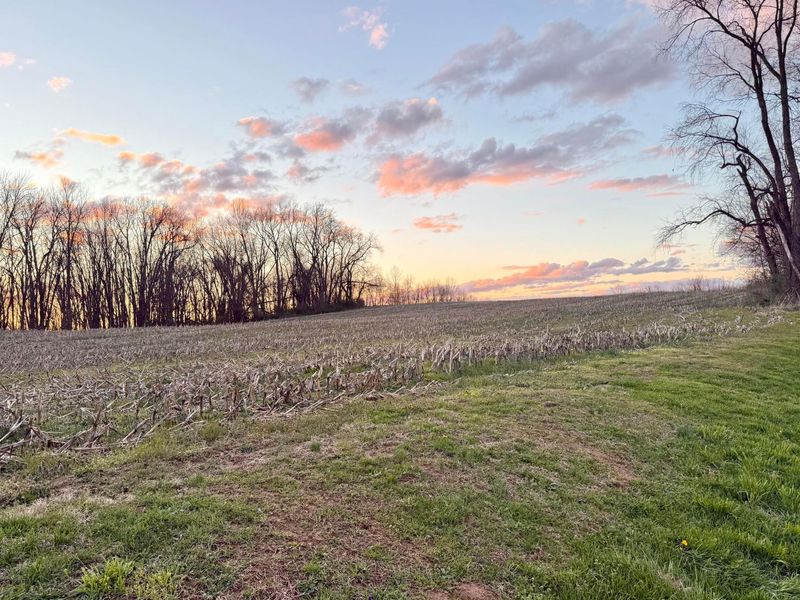 17597 Spillway Road, Fredericktown, OH 43019 Photo 3