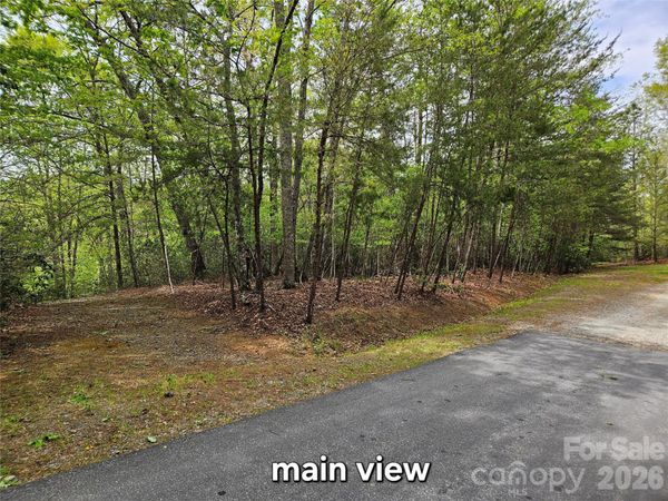 81 N Mill Ridge Road, Nebo, NC 28761