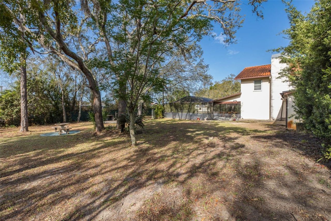 9947 Grove Drive, New Port Richey, FL 34654 Photo
